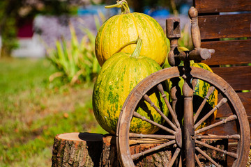 Autumn background. Pumpkin and an old wooden spinning wheel on a wooden shield background