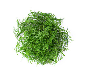 Fresh dill isolated on white background. top view