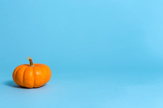 An autumn pumpkin on a blue background