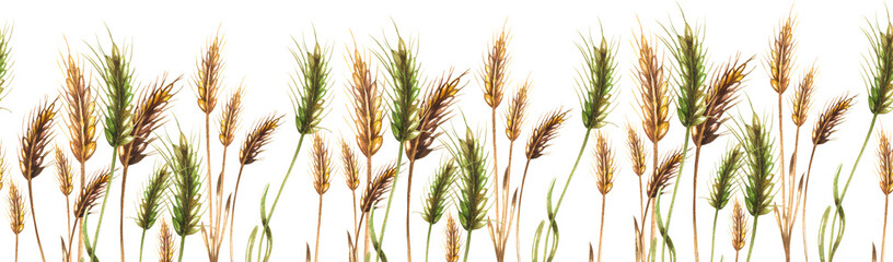Seamless Border of spikelets