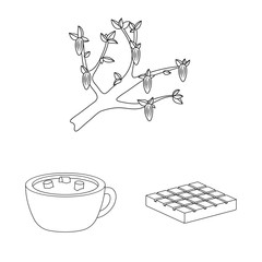 Vector illustration of cocoa and beans icon. Set of cocoa and sweetness vector icon for stock.