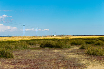 field and blue sky