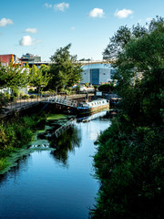 OLYMPUS DIGITAL CAMERA - SUNDAY MORNING