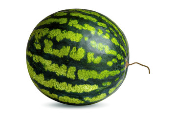 Isolated round striped watermelon on white background. Ripe round watermelon with a tail, sweet berry.