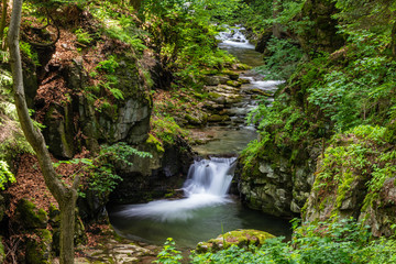Naklejka premium Waterfalls on the Wilczki stream, Poland