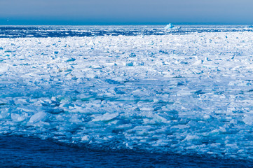 Ice floats in the Arctic Circle near Barentsoya, Svalbard, Norway.