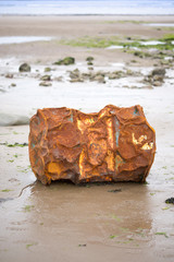 rusty metal barrel washed up