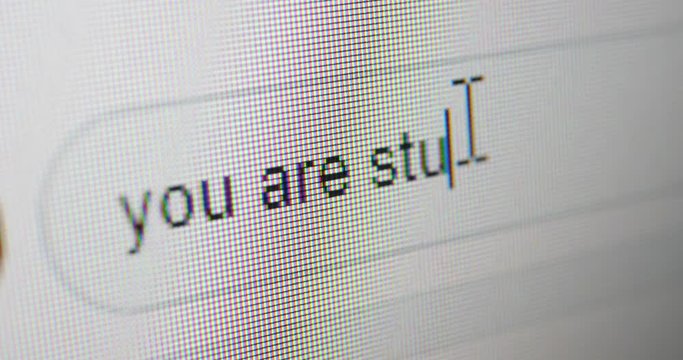 internet bullying. troll writes: you are stupid