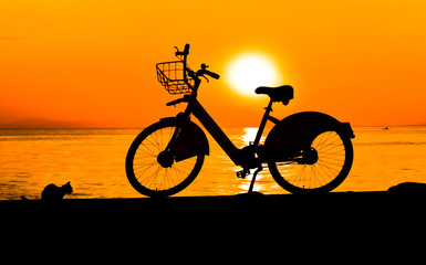 silhouette of bike and a little cat on sunset