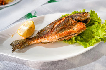 ready-made dish of baked sea bass with lemon, close-up