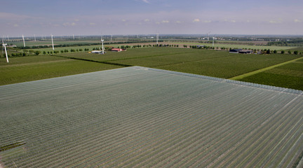 Orchard wih hail nets. Flevopolder Netherlands.. Arial as seen from windmill.. Hailnet