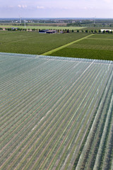 Orchard wih hail nets. Flevopolder Netherlands.. Arial as seen from windmill.. Hailnet