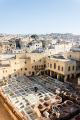 Tannerie à Fes