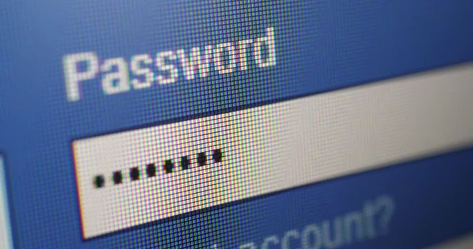 Password box in Internet Browser on Computer Screen