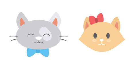 Cat head. Cute and funny animal. Kitten smile, adorable pet
