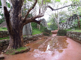 Ancient ruins, Sigiriya, Sri Lanka