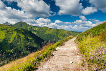 Naklejka na ściany i meble Hiking Trial in Polish Tatra National Park, Poland