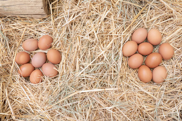 dos nidos de huevos de gallina sobre heno