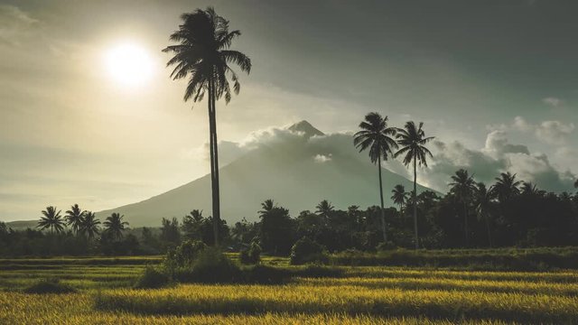 clouds cover Mount Mayon top under sunlight with palm tree silhouettes waved by strong wind time lapse. Concept travel paradise tourism. Exotic landscape. Bicol Region Luzon island Philippines. 4K