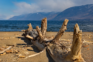 Russia. mountain Altai. Southern shore of lake Teletskoye near the mouth of the river Chulyshman