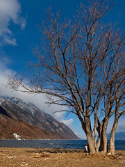 Russia. mountain Altai. Southern shore of lake Teletskoye near the mouth of the river Chulyshman