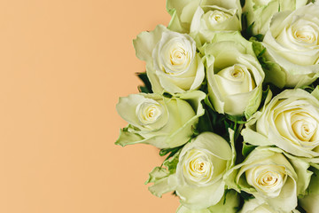 Romantic bouquet of cream roses on pastel peach background.