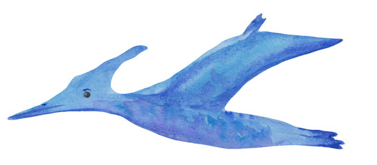Cartoon cute pterodactyl on a white background. Watercolor illustration of dino crumbs for baby clothes, prints and posters. © Анастасия Погуда