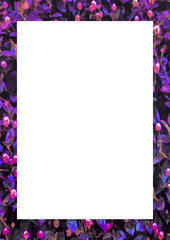 White Frame with Decorated Borders