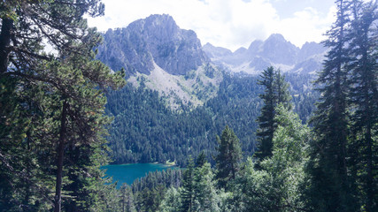 Mountains landscape in summertime