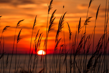 beautiful chesapeake bay colorful sunrise landscape in southern maryland calvert county usa