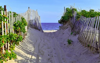 Keuken spatwand met foto Beach scene with sand dunes and fencing by ocean © nyker