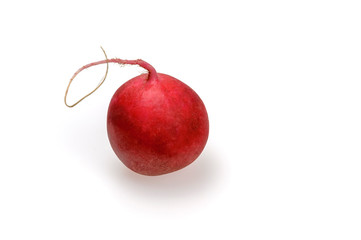 Close-up still life with radish on a white background.
