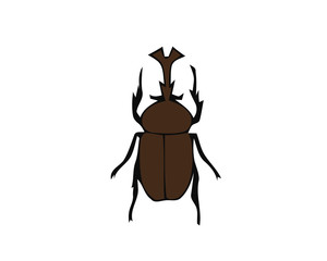 Vector colored stag beetle icon isolated on white background. Colored cartoon style insect illustration. Bug logo