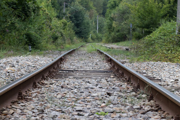 Fototapeta premium railway in the forest old rails and sleepers