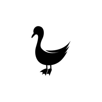 Duck logo vector icon template