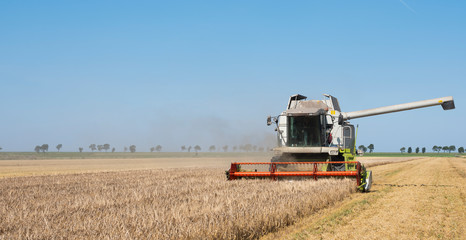 Fototapeta premium combine harvester during barley harvest in the countryside of north groningen in the netherlands