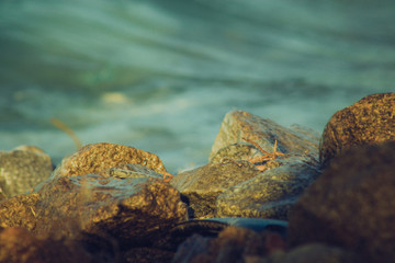 lakeside with stones and blue water
