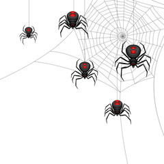 Background with black widow spiders.