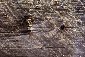 Nails in wooden background textured board