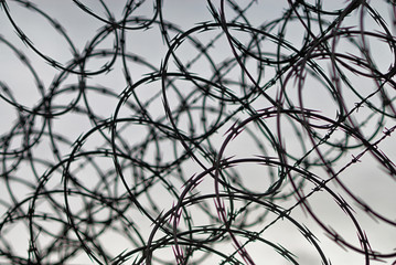 Rolls of barbed wire atop a fence.