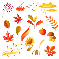 Set of stylized autumn items.