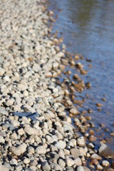 Shoreline