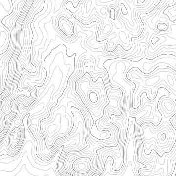 Topographic Map Seamless Pattern. Vector Background