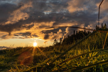 Stunning sky and sunset in warm colors. Below grass in raindrops. Beautiful landscape, natural background image.