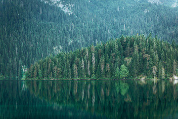 Beautiful view of the forest with reflection in the water and a lake called Black Lake in Montenegro.