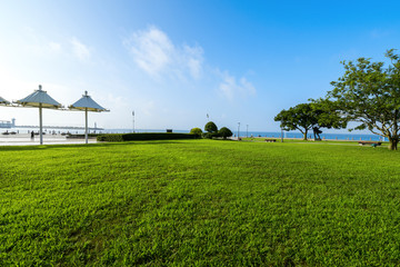 Park Lawn and Modern Urban Architecture in Qingdao, China