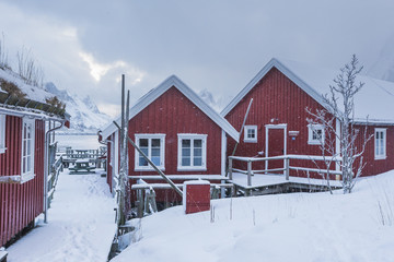 Typical red harbor house in Reine at early morning.