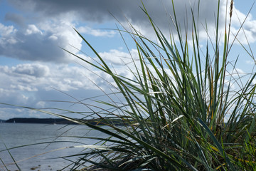 Dunkler Himmel über dem Ostseestrand