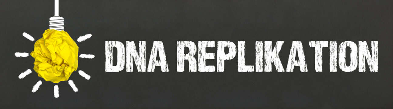 DNA Replikation 