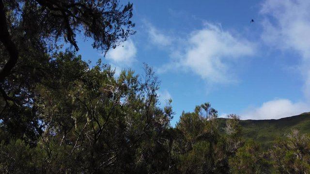 Pan view of the green mountains in Rabacal, Madeira island, Portugal